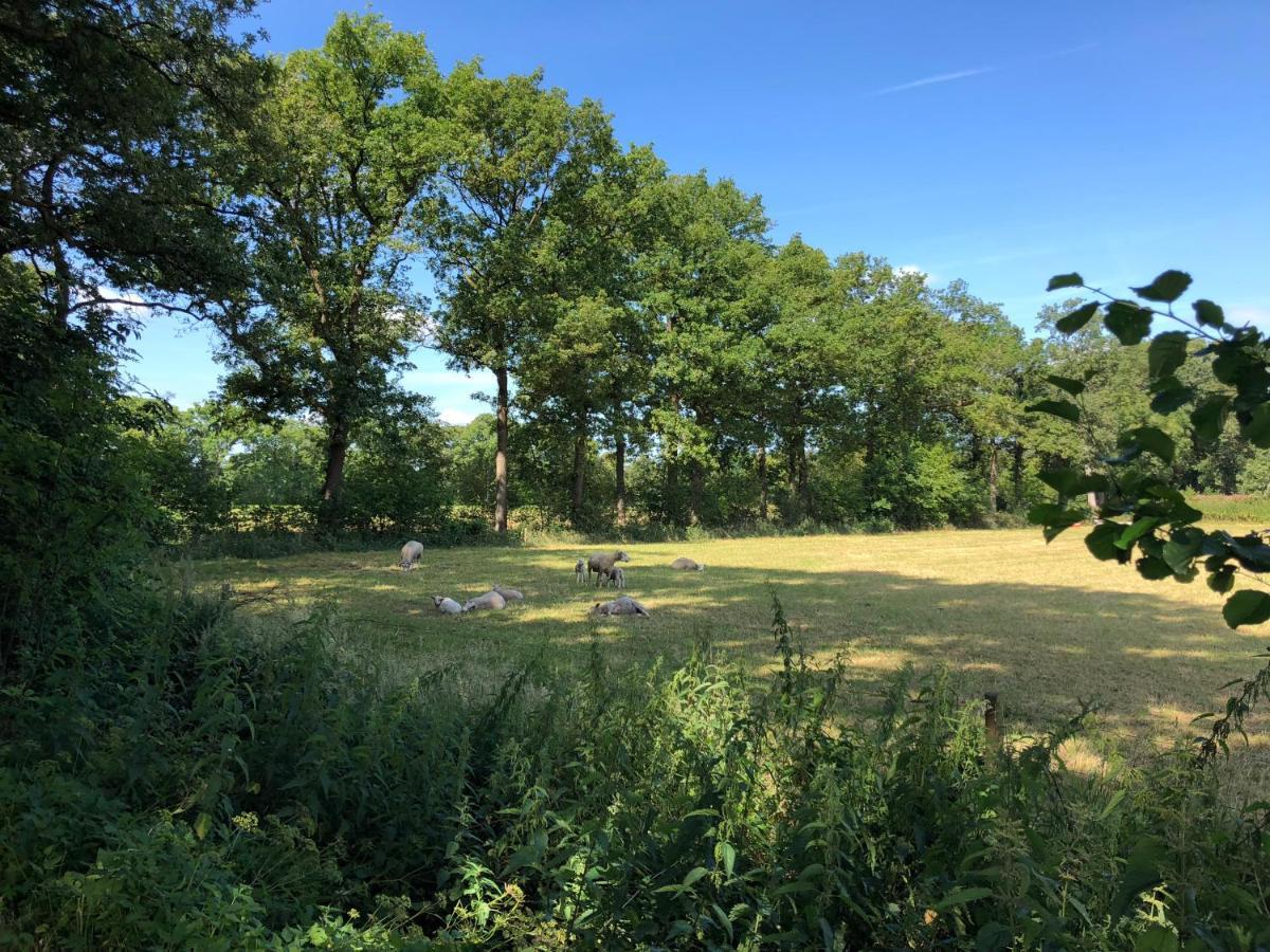 Klein Bosland By Logeren Bij Saar Villa Wijnjewoude Exteriör bild