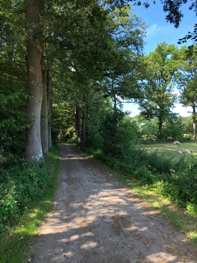 Klein Bosland By Logeren Bij Saar Villa Wijnjewoude Exteriör bild