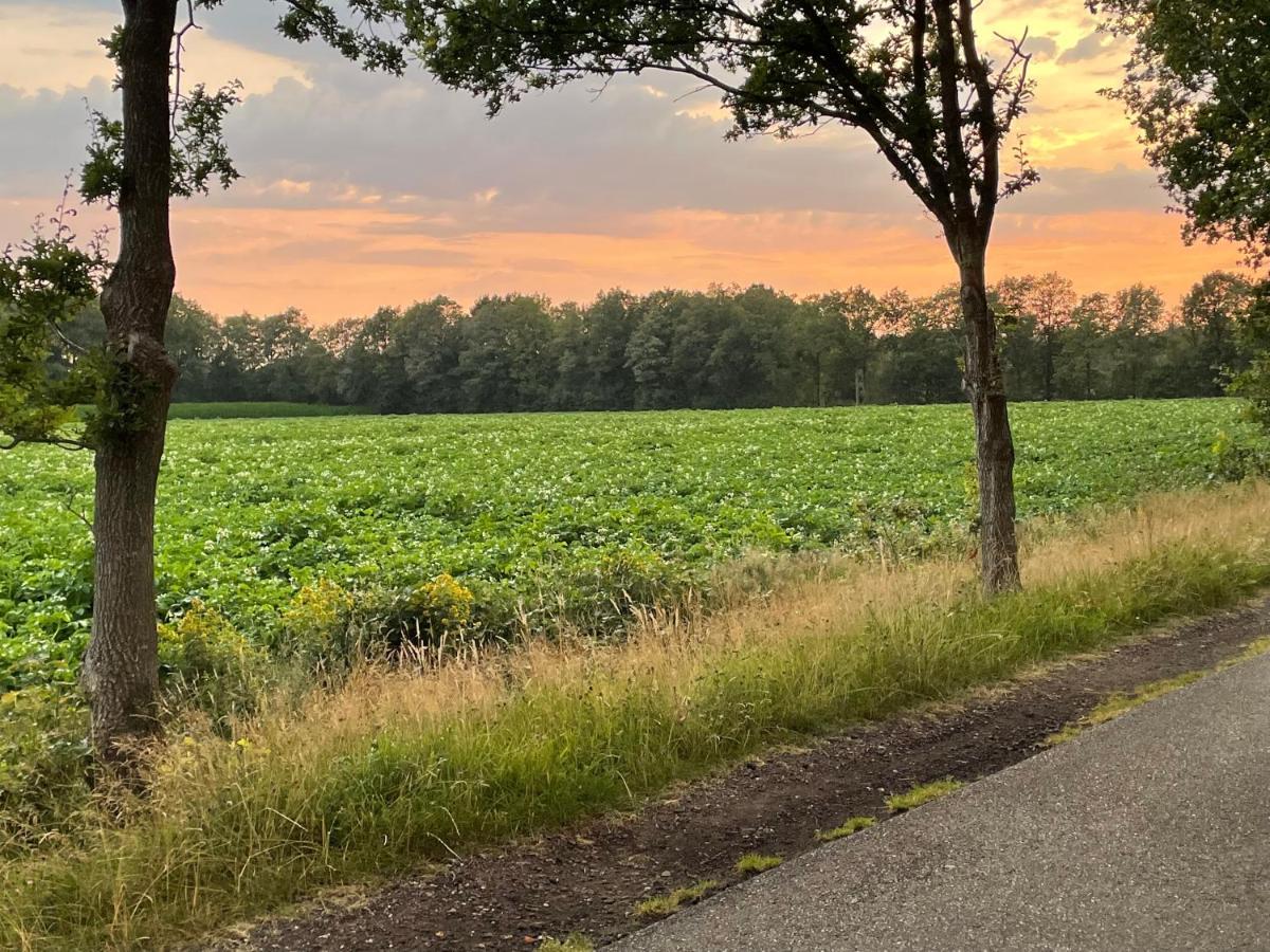 Klein Bosland By Logeren Bij Saar Villa Wijnjewoude Exteriör bild