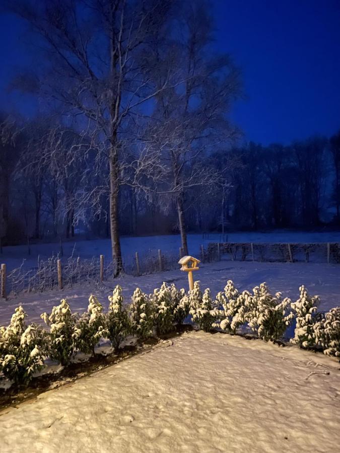 Klein Bosland By Logeren Bij Saar Villa Wijnjewoude Exteriör bild
