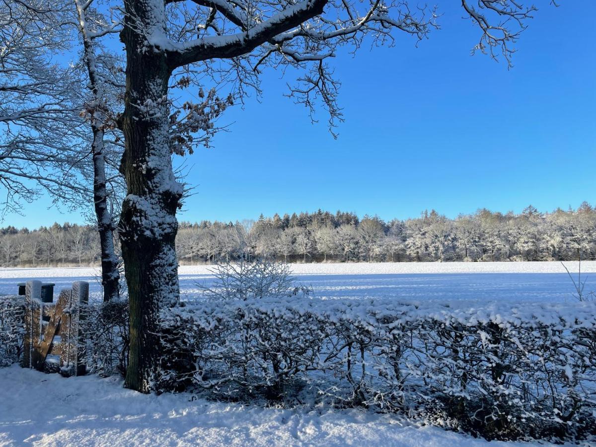 Klein Bosland By Logeren Bij Saar Villa Wijnjewoude Exteriör bild