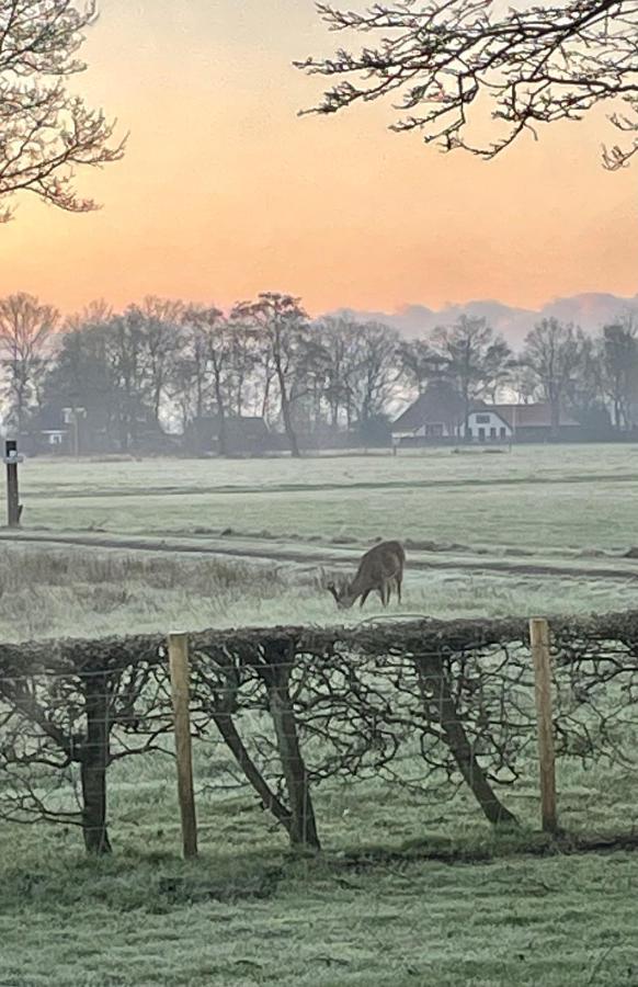 Klein Bosland By Logeren Bij Saar Villa Wijnjewoude Exteriör bild