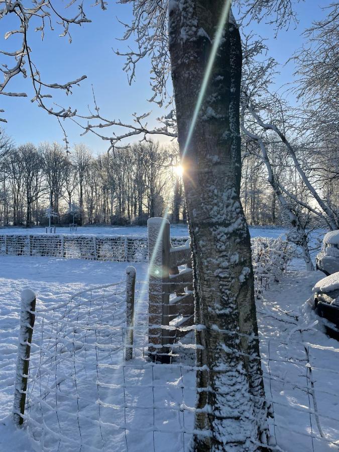 Klein Bosland By Logeren Bij Saar Villa Wijnjewoude Exteriör bild