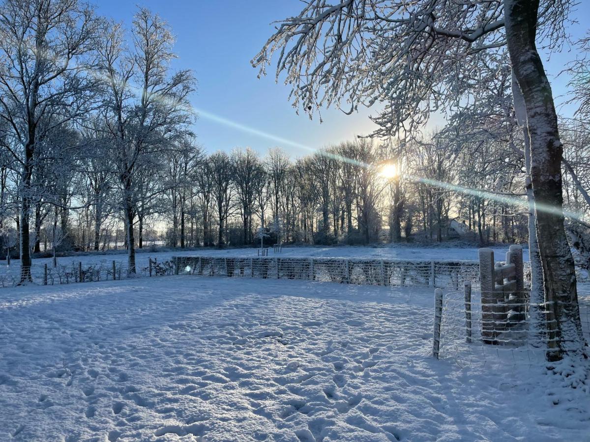 Klein Bosland By Logeren Bij Saar Villa Wijnjewoude Exteriör bild